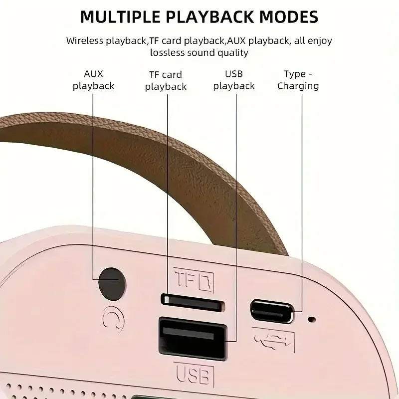 Karaoke Portable Speaker System