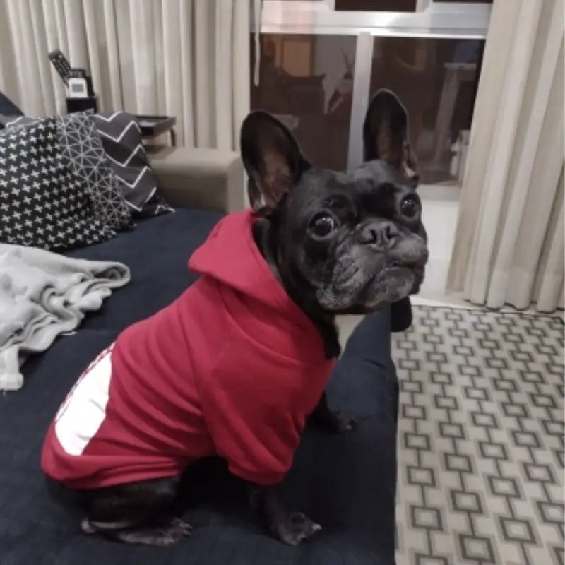 The Dog Face Hoodies