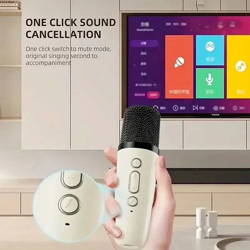 Karaoke Portable Speaker System